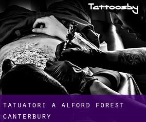 Tatuatori a Alford Forest (Canterbury)