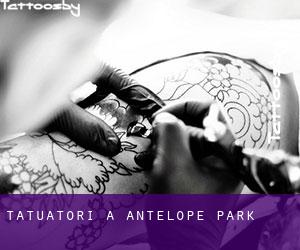 Tatuatori a Antelope Park