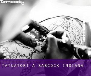 Tatuatori a Babcock (Indiana)