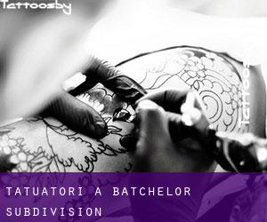 Tatuatori a Batchelor Subdivision