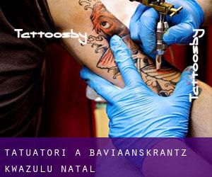 Tatuatori a Baviaanskrantz (KwaZulu-Natal)