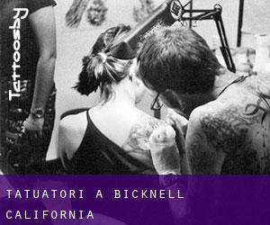 Tatuatori a Bicknell (California)