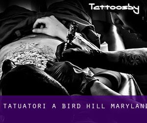 Tatuatori a Bird Hill (Maryland)
