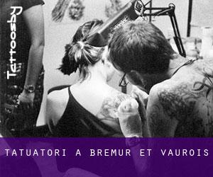Tatuatori a Brémur-et-Vaurois