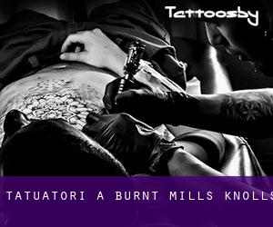 Tatuatori a Burnt Mills Knolls