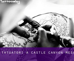 Tatuatori a Castle Canyon Mesa