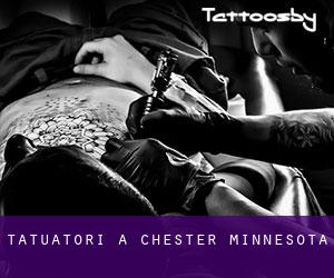 Tatuatori a Chester (Minnesota)