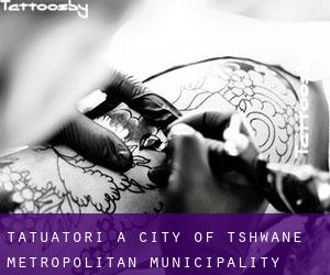 Tatuatori a City of Tshwane Metropolitan Municipality