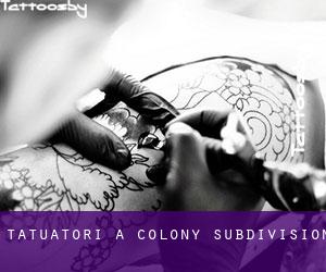 Tatuatori a Colony Subdivision
