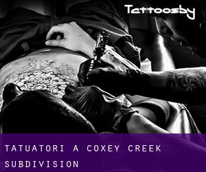 Tatuatori a Coxey Creek Subdivision