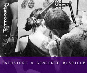 Tatuatori a Gemeente Blaricum