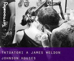 Tatuatori a James Weldon Johnson Houses