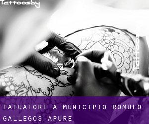 Tatuatori a Municipio Rómulo Gallegos (Apure)