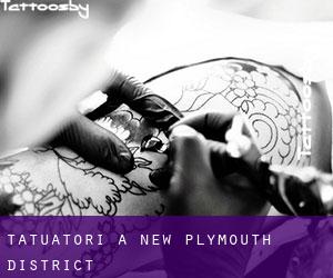Tatuatori a New Plymouth District