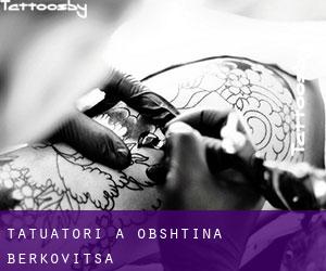 Tatuatori a Obshtina Berkovitsa