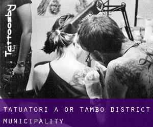 Tatuatori a OR Tambo District Municipality