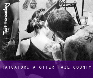 Tatuatori a Otter Tail County