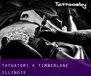 Tatuatori a Timberlane (Illinois)