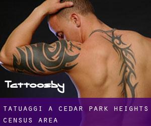 tatuaggi a Cedar Park Heights (census area)