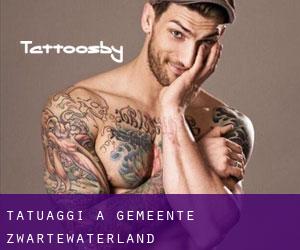 tatuaggi a Gemeente Zwartewaterland